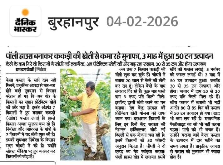 Dainik Bhaskar newspaper coverage of polyhouse cucumber cultivation in Burhanpur